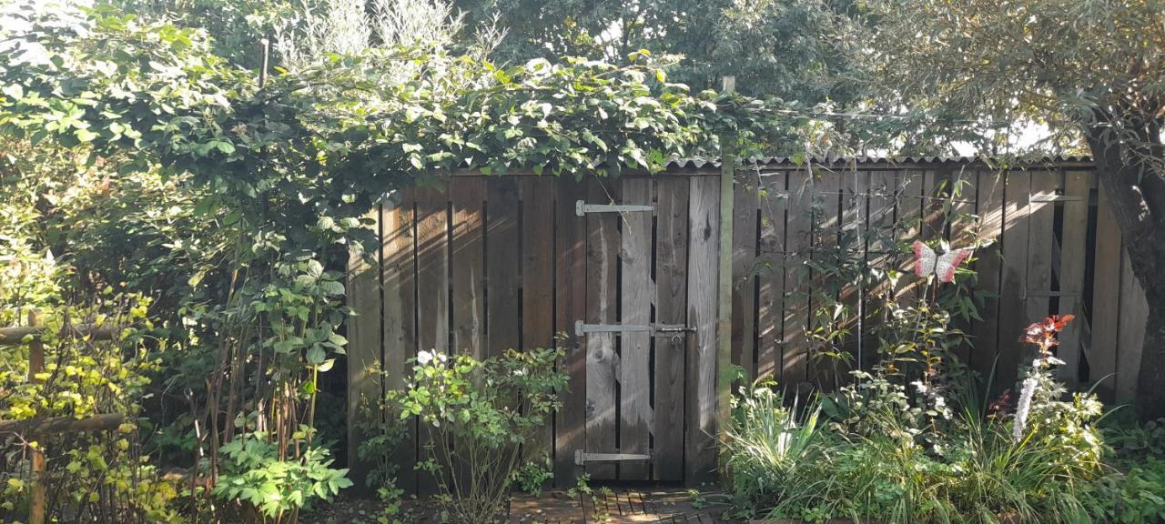 Chambres D'Hotes Naturistes De La Moque Souris Saint-Pierre-de-Mailloc Dış mekan fotoğraf